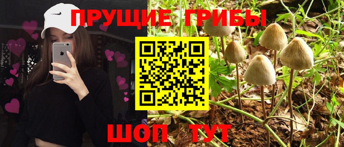 Тюмень  Галлюциногенные грибы MAGIC MUSHROOMS  Вход с VPN 