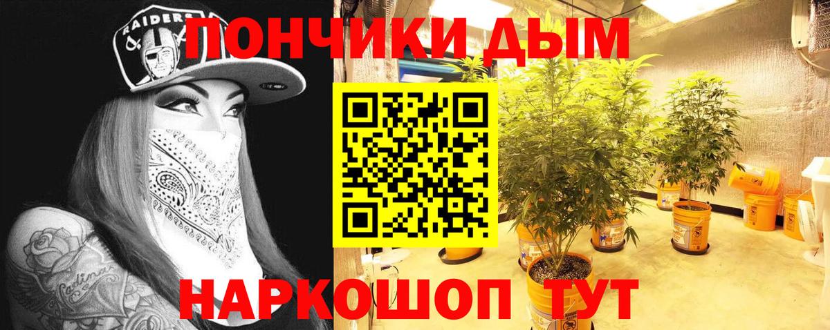 Бошки Шишки конопля  Бошки Шишки AK-47  Тюмень  Канабис план  Бошки марихуана AK-47  Вход с VPN 
